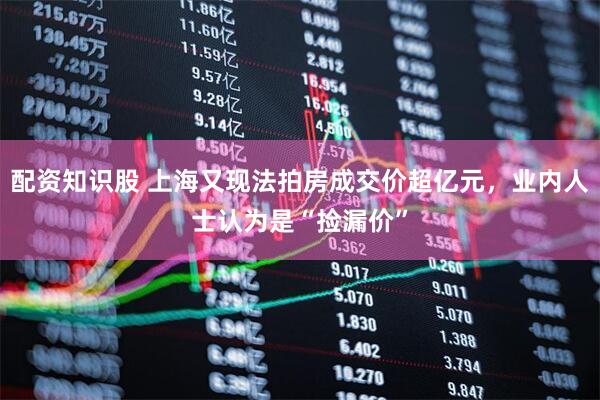 配资知识股 上海又现法拍房成交价超亿元，业内人士认为是“捡漏价”